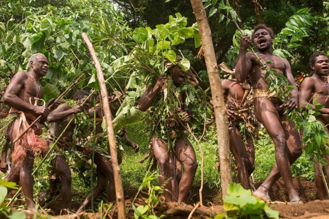 Men of the Sa people dancing at the Land diving ceremony