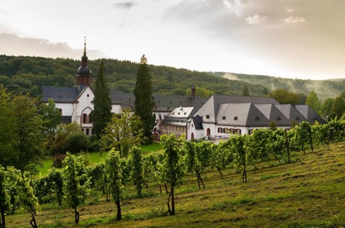 Vineyard