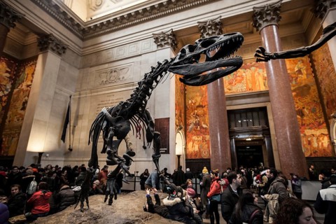 Skeleton of an Allosaurus