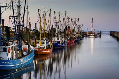 Boats in the harbour