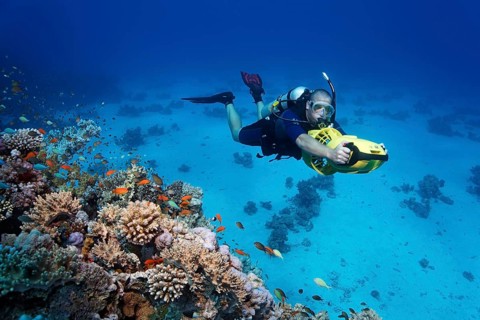 Diver with a diver propulsion vehicle exploring a coral reef