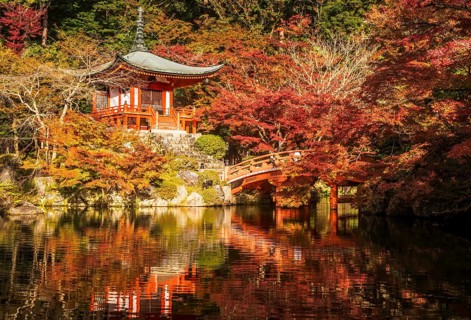 Bentendo Hall between red autumn leaves