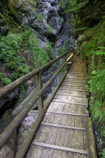Wooden boardwalk in the Nothklamm gorge