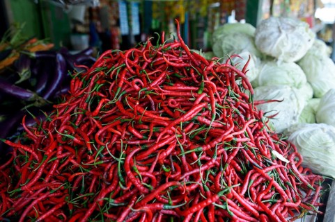 Chili peppers (Capsicum) on the market