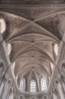 Stuccoed vaulted ceilling