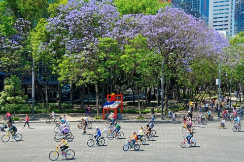 Cyclists on the main street Paseo de Reforma