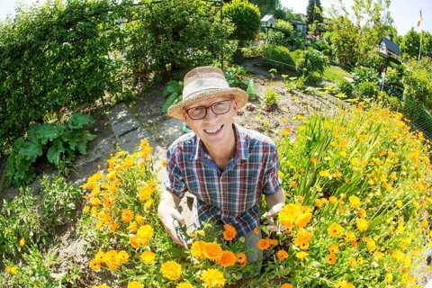 Gardener