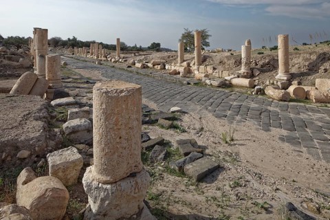 Paved axis road