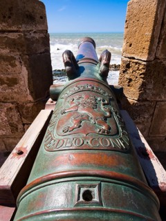 Cannon on fortification