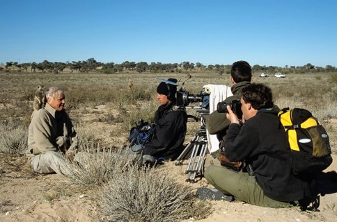 Sir David Attenborough with meerkat on shoulder being filmed for BBC series Life of Mammals