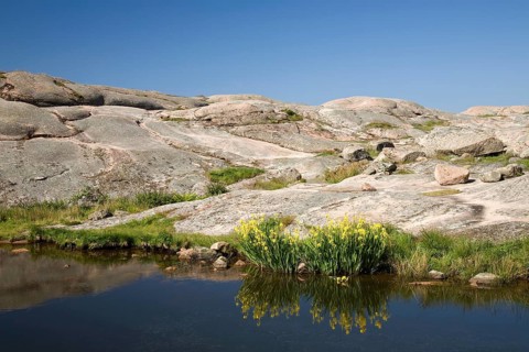 Archipelago