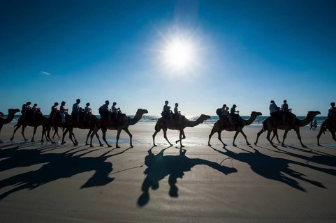Tourists riding on camels on Cable Beach