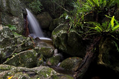 Waterfall on Nosy Mangabe