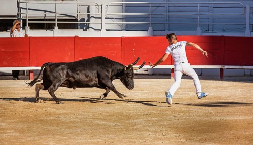 A bullfighter tries to escape a chasing bull