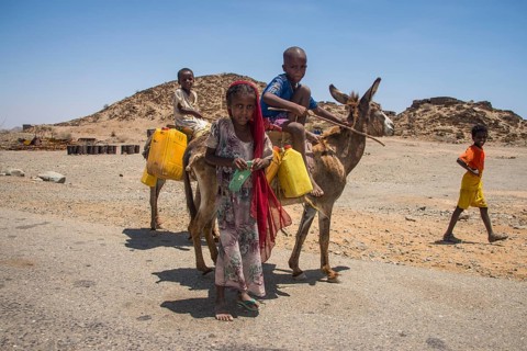 Children with a donkey on the way to a waterhole