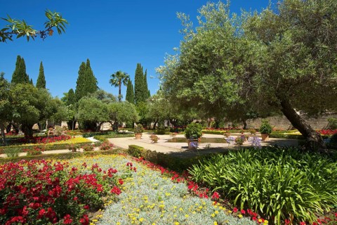 Gardens in the Alcazar de Jerez