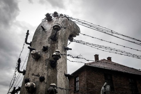 Barbed wire fence