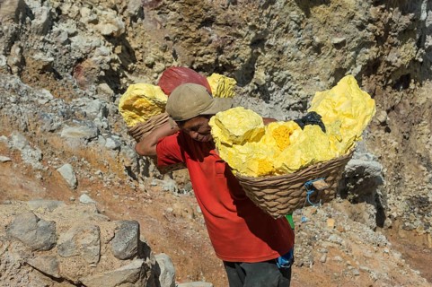 Sulphur carrier climbing out of Kawah Ijen volcano