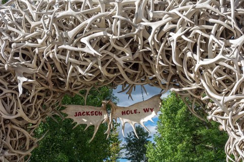 Arch made of wapiti antlers