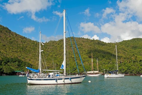 Boats in the harbour