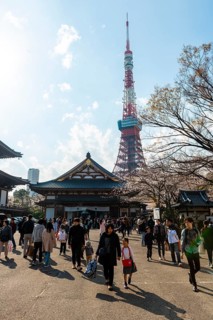 Zojoji Temple