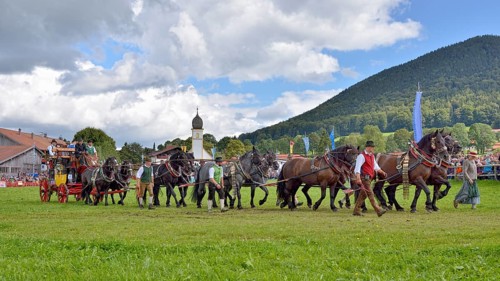 Ten-horse carriage with Noric horses from Abtenau in Salzburg Land