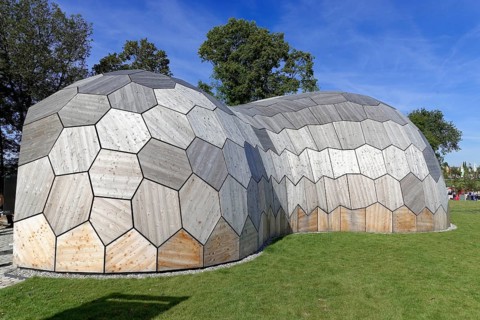 Forest Pavilion