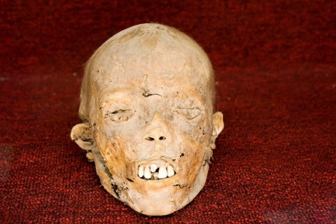 Mummy in the Mummies' Museum