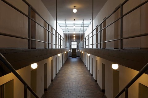 Cells