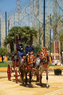 Coach at the Feria del Caballo