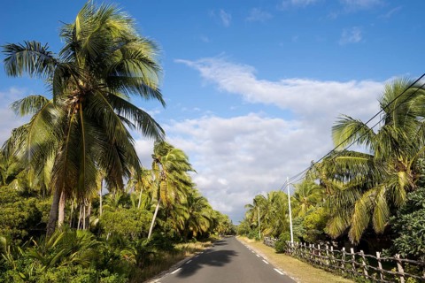 Palm tree-lined main road of the island of Ouvea
