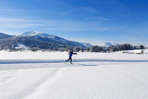 Cross-country skier