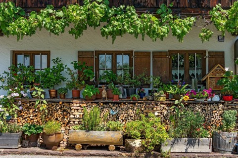 Farmhouse with flowers and vines