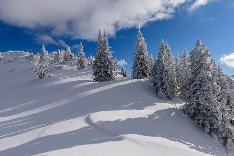 Winter landscape at Kasberg