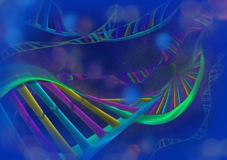 DNA chains