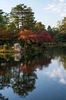 Trees with red autumn leaves by the water