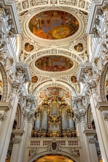 Organ