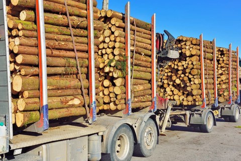 Truck with trailer