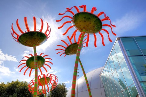 Glass flowers at Seattle Center