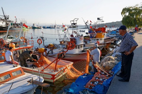 Fishing port