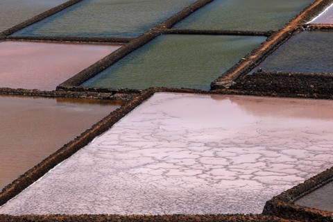 Sea salt production