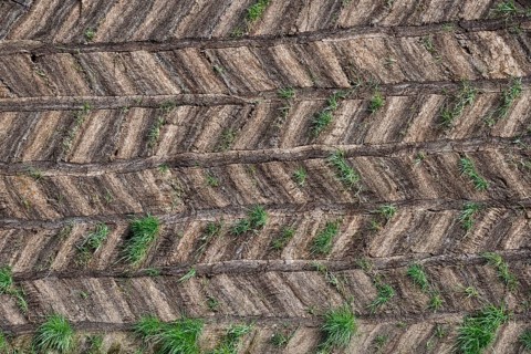 Wall made of peat