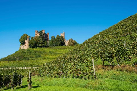 Schloss Ortenberg castle