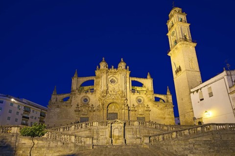 Cathedral La Colegiata del Salvador
