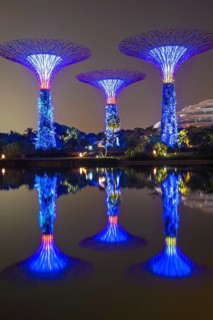 Supertrees
