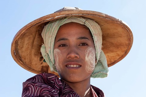 Rice farmwoman