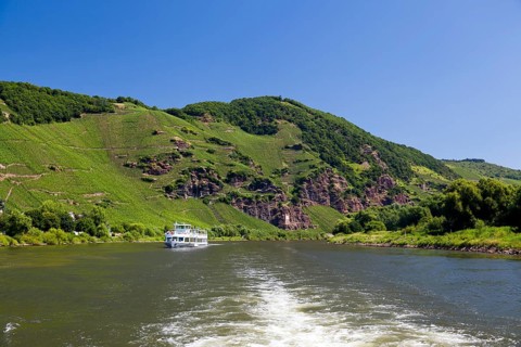 Moselle landscape