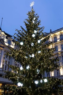 Christmas tree in front of the Pupp Hotel