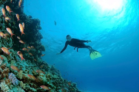 Freediver diving at coral reef
