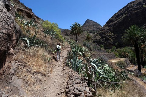 Hiking trail in the Barranco de Arure